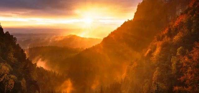 mountains and tree range during golden hour by Artem Sapegin courtesy of Unsplash.